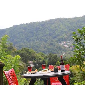 Kandy Green Hilltop Hotel Godagandeniya Exterior photo