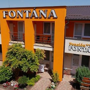 Hotel Penzion Fontana à Podhájska Exterior photo