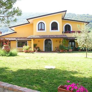 Hotel Azienda Agricola Il Bagolaro à Nerola Exterior photo