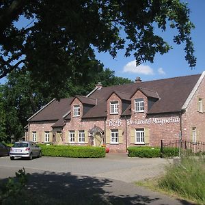 Bed and Breakfast Bed & Breakfast De Kleine Magnolia à Tessenderlo Exterior photo