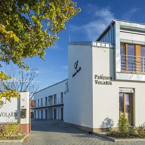 Hotel Penzion Volarik à Dolní Dunajovice Exterior photo