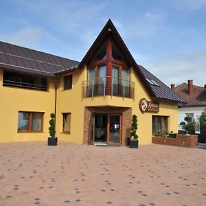 Hotel Penzion Anesis - Studia à Turčianske Teplice Exterior photo