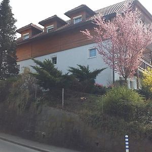 Appartement Mayerhofer House à Linz Exterior photo