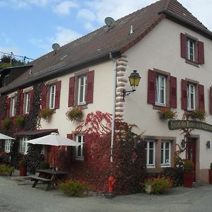 Hôtel du Haut Koenigsbourg - calme et nature Thannenkirch Exterior photo