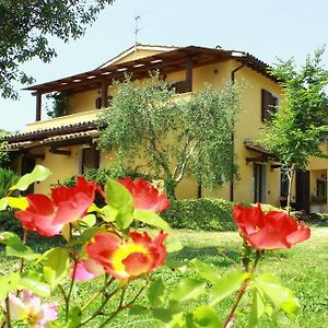 Villa La Casa Di Gelsomino à Massa Martana Exterior photo