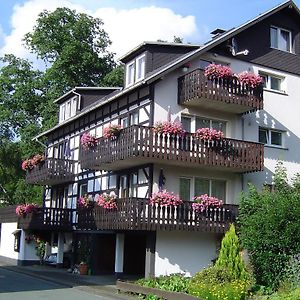 Villa Ferienhaus Hedrich à Assinghausen Exterior photo