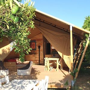 Hotel Campo Portakal Eco Glamping à Çıralı Room photo