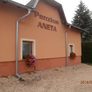 Hotel Penzion Aneta à Svijany Exterior photo