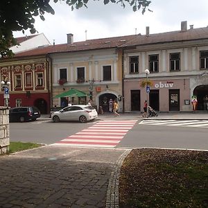 Hotel Penzion A Restauracia U Jelena à Stará ľubovňa Exterior photo