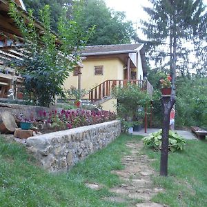 Apartments Borove Noci Vrdnik Exterior photo