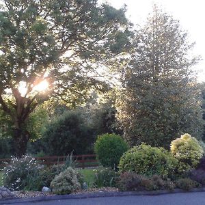 Ashdene Country Home B&B Wicklow Exterior photo