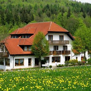 Rhön-Hotel Sonnenhof - Restaurant&Café Poppenhausen Exterior photo