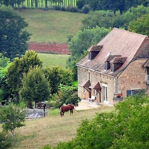 Bed and Breakfast Le Domaine du Cerneau à Nailhac Exterior photo