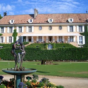 Hotel Château de Bonmont à Cheserex Exterior photo