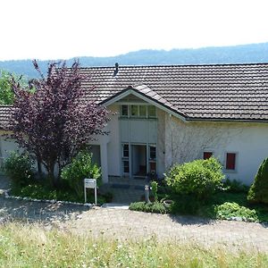 Bed and Breakfast Bnb Goldberg à Schmerikon Exterior photo