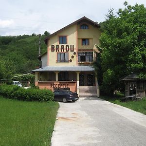 Hotel Pensiunea Bradu à Piatra Neamţ Exterior photo