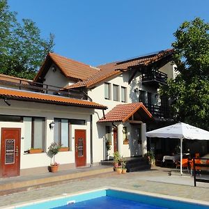 Hôtel Vila Europa à Sărata-Monteoru Exterior photo