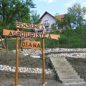 Hotel Pensiunea Agroturistica Diana à Măgura Exterior photo