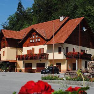Hôtel Pri Vidrgarju à Vace Exterior photo