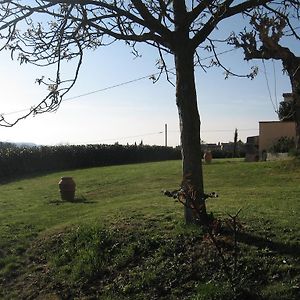 Maison d'hôtes Agriturismo Le Caselle à Cerbaia Room photo