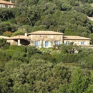 Hotel Massacan-Vue Mer à Le Lavandou Exterior photo