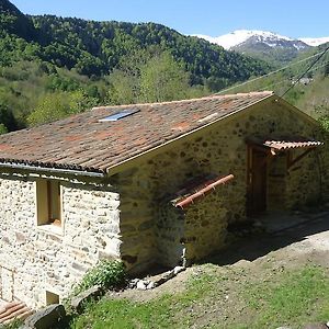 Gîtes Le Paradoxe des Pyrénées Montferrier Room photo