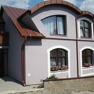 Hotel Penzion Terra Banensium à Banská Štiavnica Exterior photo