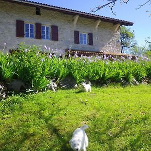 Bed and Breakfast Chambre d'hôtes La Haie Fleurie à Chevillard Exterior photo