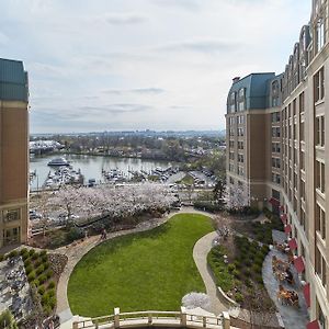 Hotel Salamander Washington Dc Nature photo