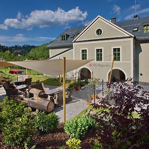 Hotel Vila Magnolia à Banská Štiavnica Exterior photo