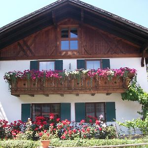 Appartement Haus Alpenrose à Schwangau Exterior photo