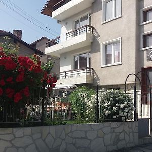 Mira Guest House Dobrinichte Exterior photo