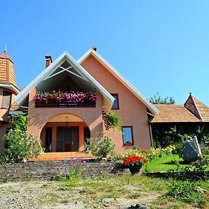 Hotel Polychko Winehouse à Vynohradiv Exterior photo