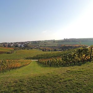 Hotel Weingut Seck à Dolgesheim Exterior photo