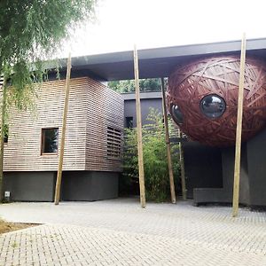 Un Nid Et Gîte à Tournai Exterior photo