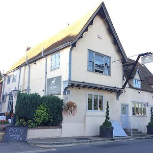 Hotel The Dog At Wingham Exterior photo