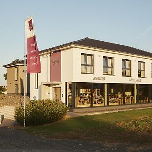 Hotel Meyerhof - Weingut, Vinothek & Gaestehaus à Flonheim Exterior photo