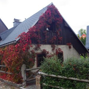 Villa Ferienhaus Frieda à Altenberg  Exterior photo