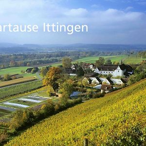 Hotel Kartause Ittingen à Warth-Weiningen Exterior photo