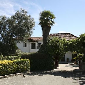 Villa Casa De Marlaes à Lousada Exterior photo