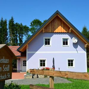 Villa Haus Karin Seidl à Neumarkt in Steiermark Exterior photo