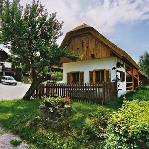 Villa Tourist Farm Ferencovi à Cankova Exterior photo