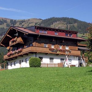 Apartment Bauernhof Thurnummerstall Hollersbach im Pinzgau Exterior photo