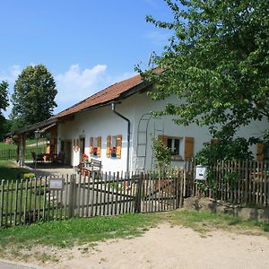 Villa Ferienhaus Winter à Blaibach Exterior photo