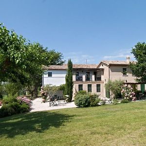 Appartement Vigna Sant' Amico Country House à Morro dʼAlba Exterior photo