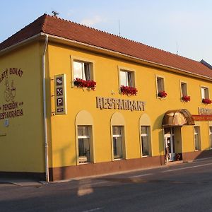 Hotel Penzion Zlaty Dukat à Zvolenská Slatina Exterior photo