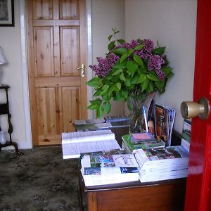 Bed and Breakfast The Bungalow Farmhouse à Clomantagh Exterior photo