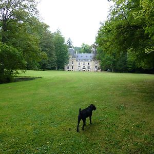 Villa Chateau de la Raffe à Naix-aux-Forges Exterior photo