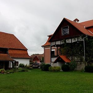 Hotel Kúria Vendégház à Cristuru Secuiesc Exterior photo