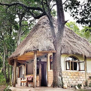 Maison d'hôtes House In The Wild à Réserve nationale du Masai Mara Exterior photo